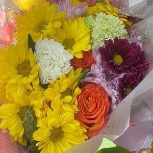 Meet your Posher, Morgan